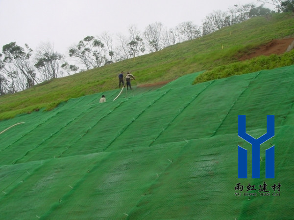 三維網(wǎng)墊http://m.mypolo.cn/dede_x