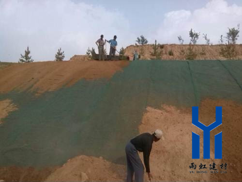 三維植被網(wǎng)http://m.mypolo.cn/