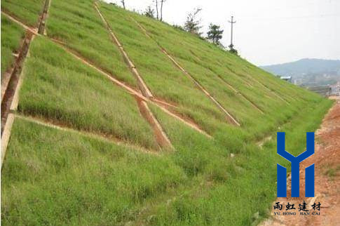 三維植被網(wǎng)http://m.mypolo.cn/